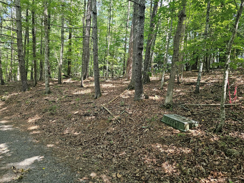 Lot C Nottley Ridge Road Murphy, NC 28906 - Photo 2 of 5