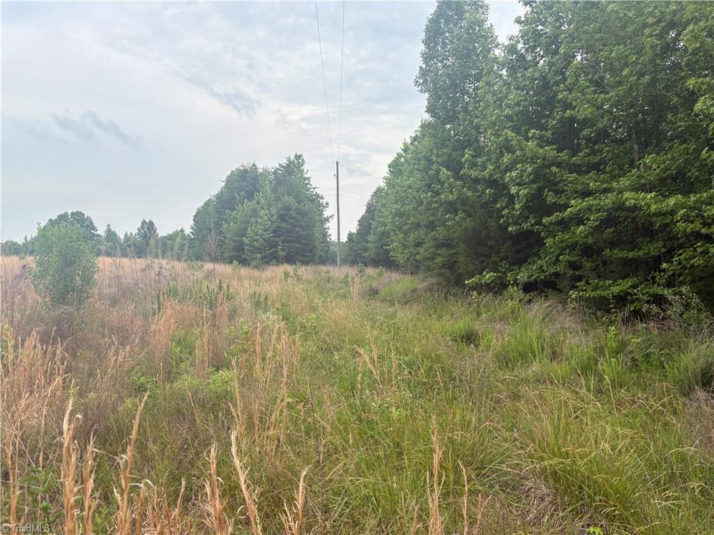 690 Goose Pond Road Ruffin, NC 27326 - Photo 16 of 17