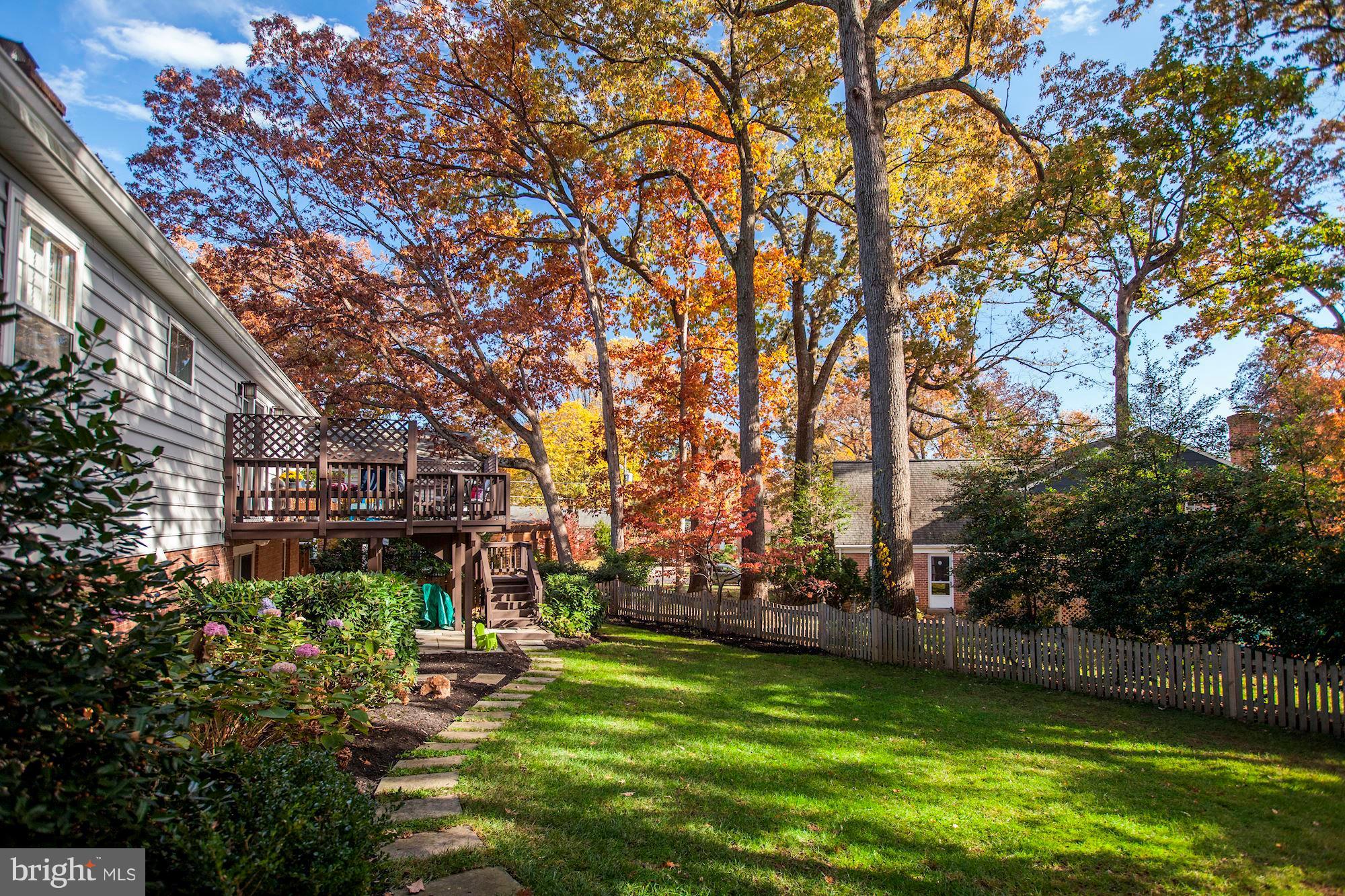 8102 Postoak Road Potomac, MD 20854 - Photo 29 of 29 Professionally Landscaped