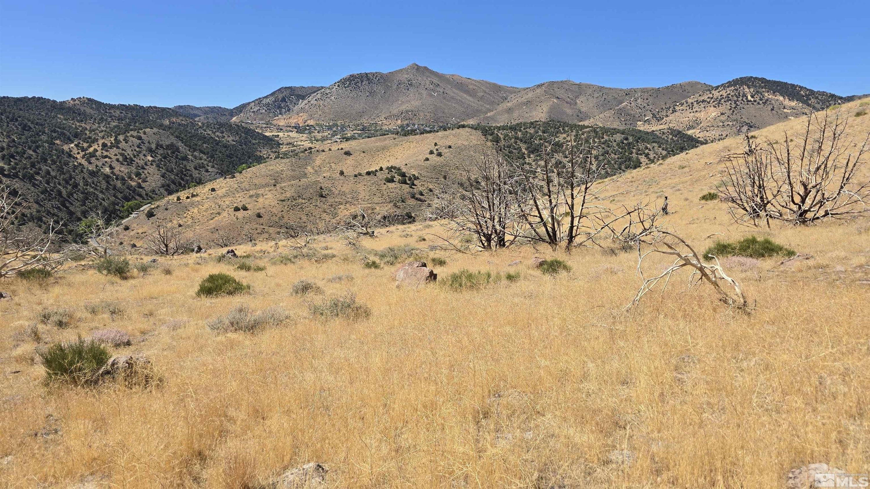 Six Six Mile Canyon Road Reno, NV 89521 - Photo 18 of 22 a view of mountain with a field