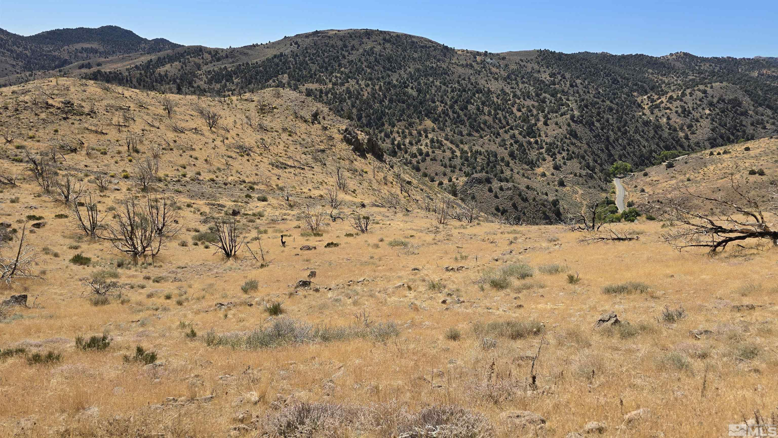 Six Six Mile Canyon Road Reno, NV 89521 - Photo 19 of 22 a view of a dry yard with mountains in the background