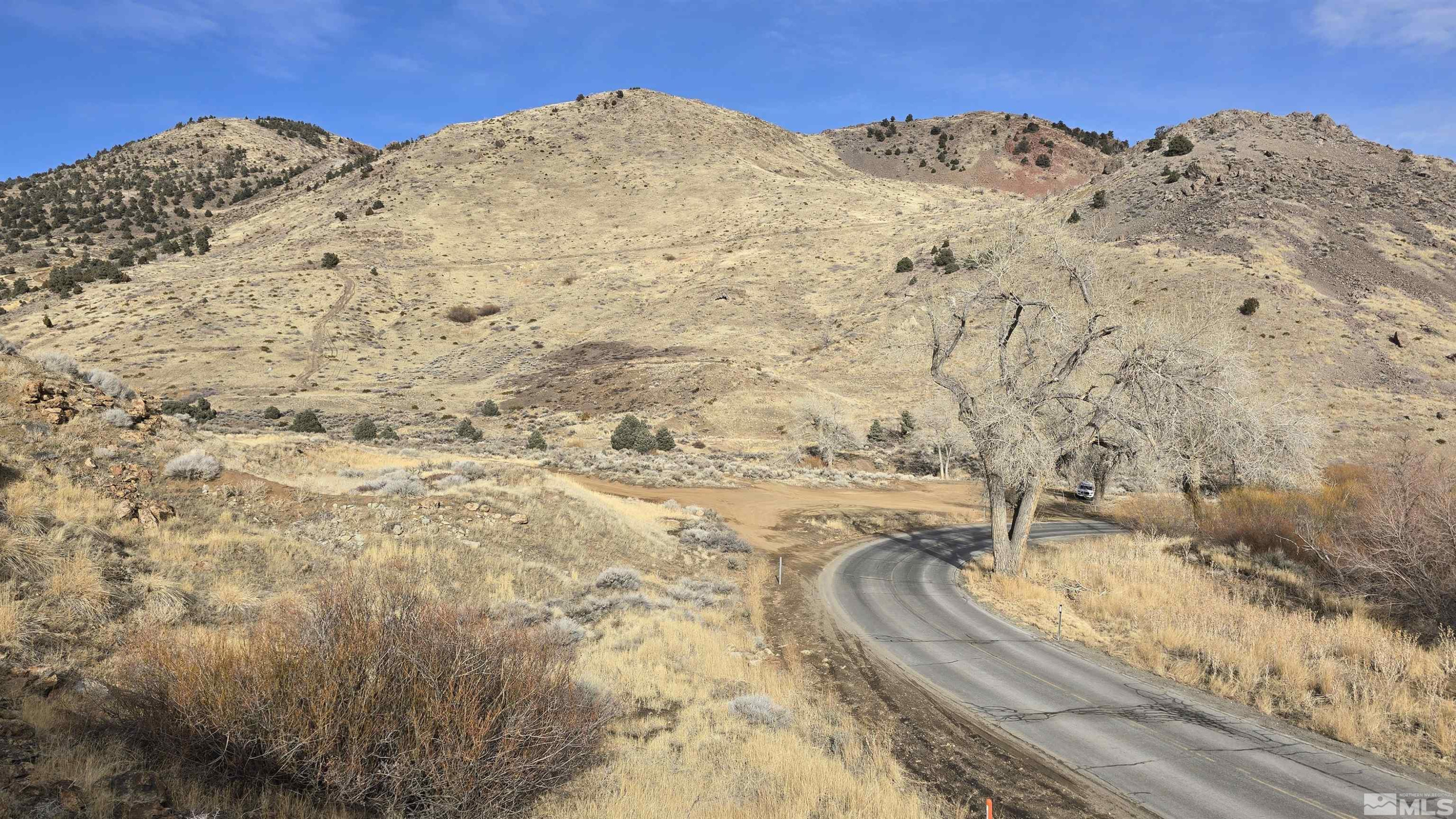 Six Six Mile Canyon Road Reno, NV 89521 - Photo 8 of 22 a view of a dry yard
