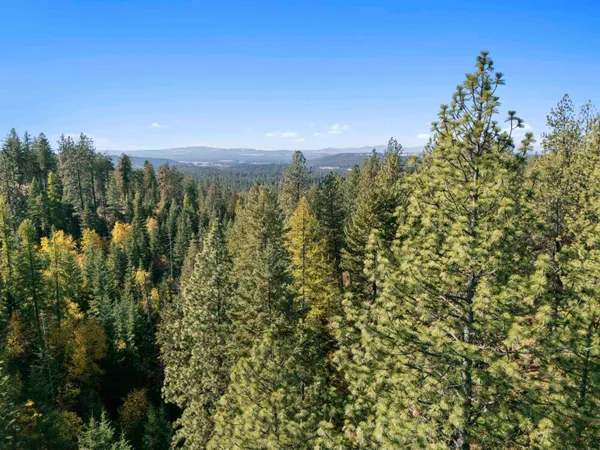 $49,950 | Nna North Madison Road, Mead, WA 99021