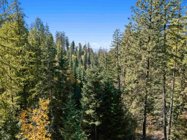 $49,950 | Nna North Madison Road, Mead, WA 99021