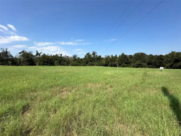 a view of a field with a tree in the background