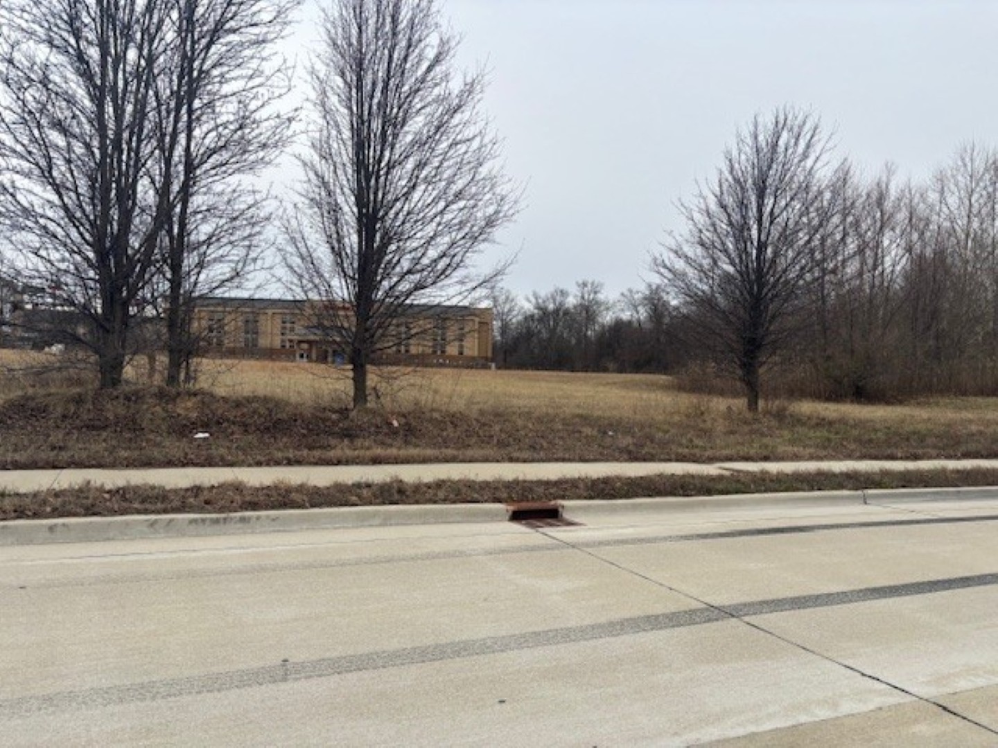 Tbd Progress Drive Mount Vernon, IL 62864 - Photo 4 of 10 a view of white house with a yard and large trees