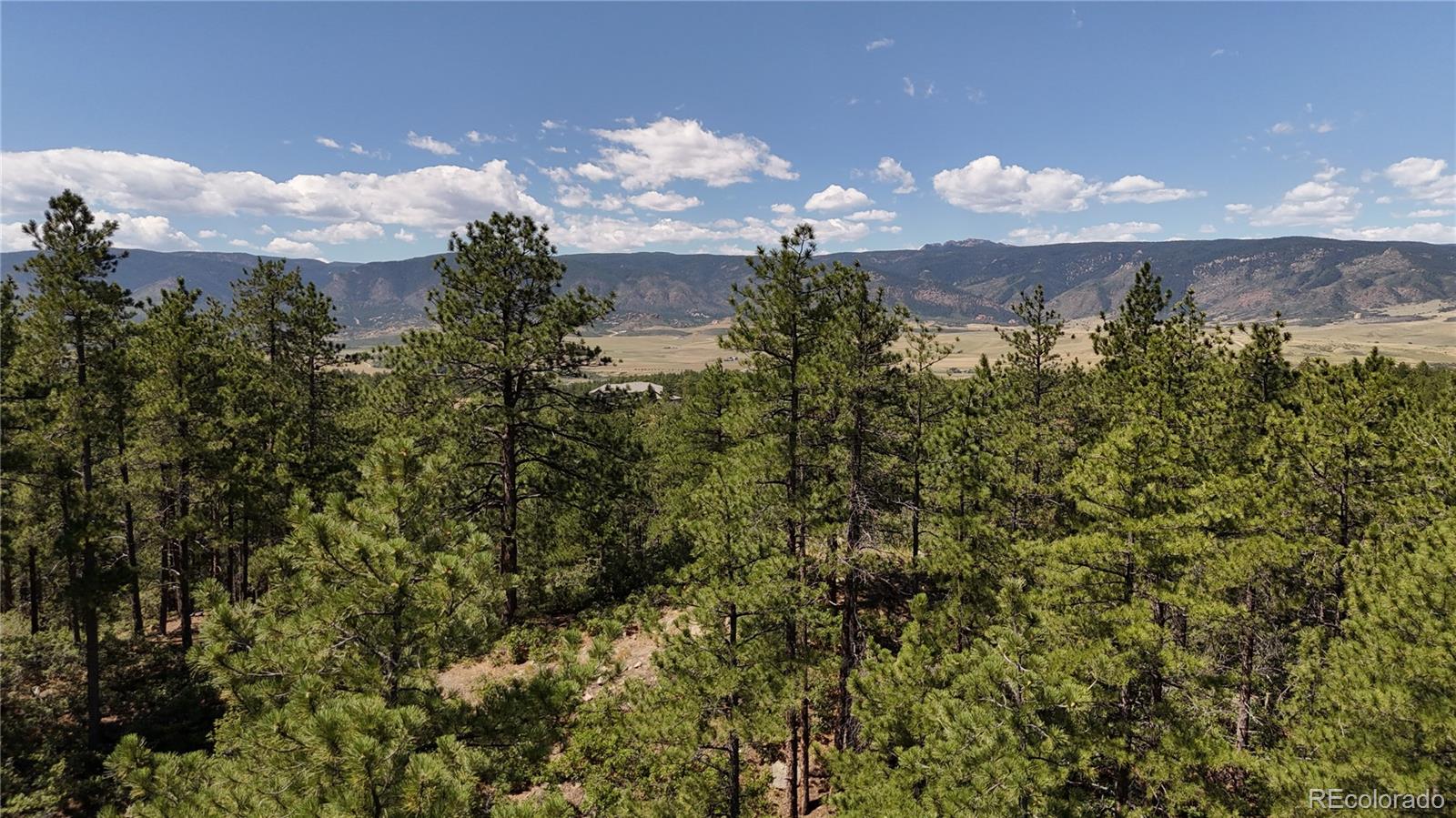 5080 South Perry Park Road Sedalia, CO 80135 - Photo 25 of 39 a view of a lake in middle of a field