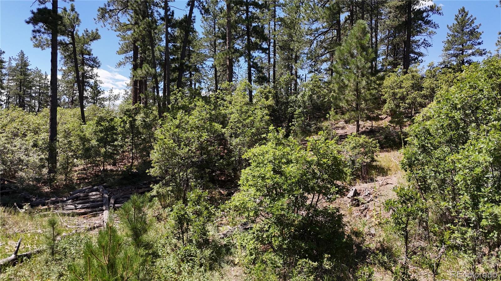 5080 South Perry Park Road Sedalia, CO 80135 - Photo 28 of 39