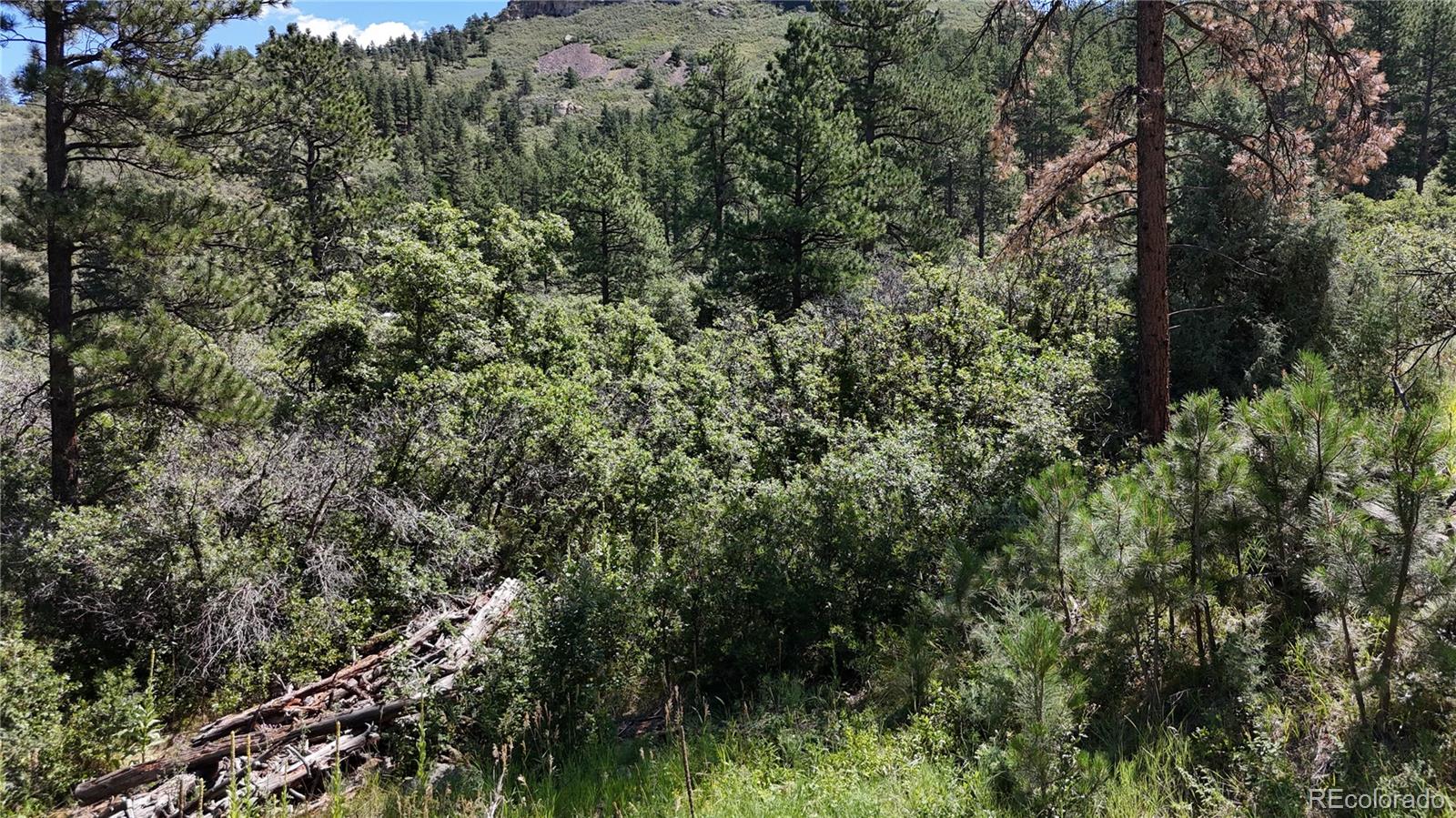 5080 South Perry Park Road Sedalia, CO 80135 - Photo 29 of 39 an aerial view of residential house with outdoor space and trees all around
