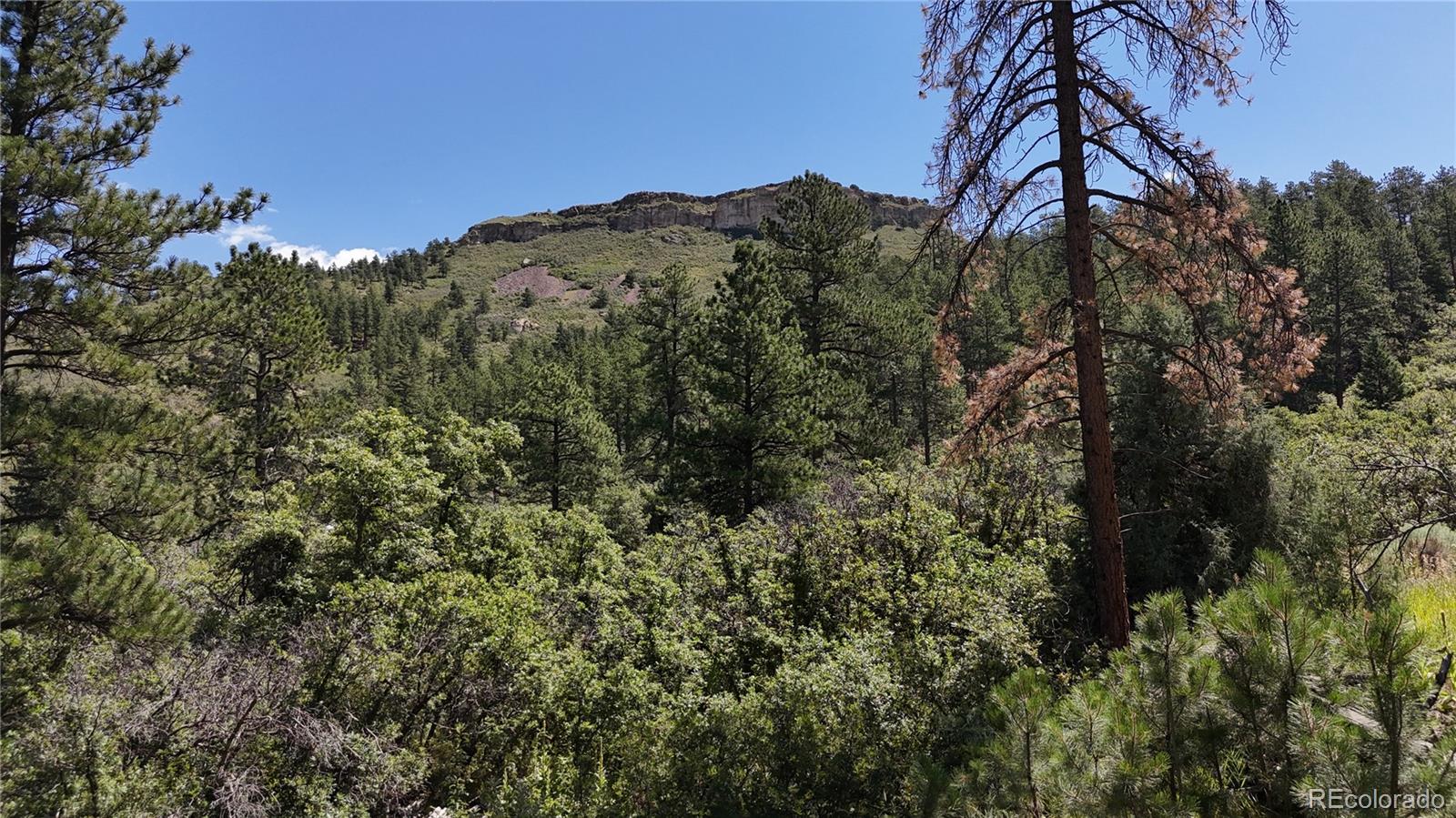 5080 South Perry Park Road Sedalia, CO 80135 - Photo 30 of 39 a view of a yard of a building