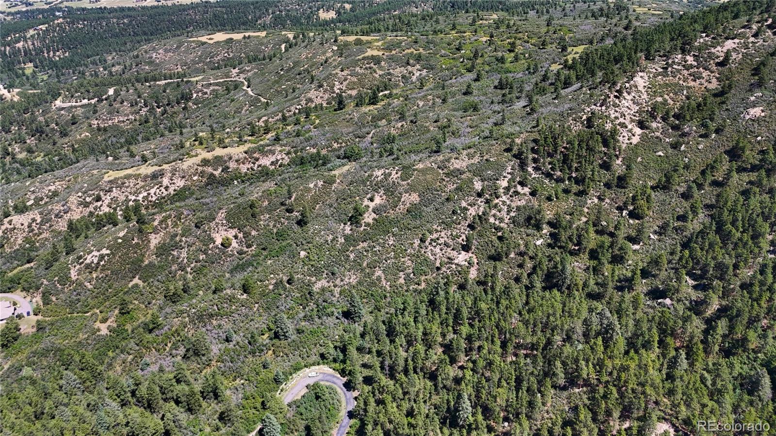 5080 South Perry Park Road Sedalia, CO 80135 - Photo 35 of 39 a close up of a tree