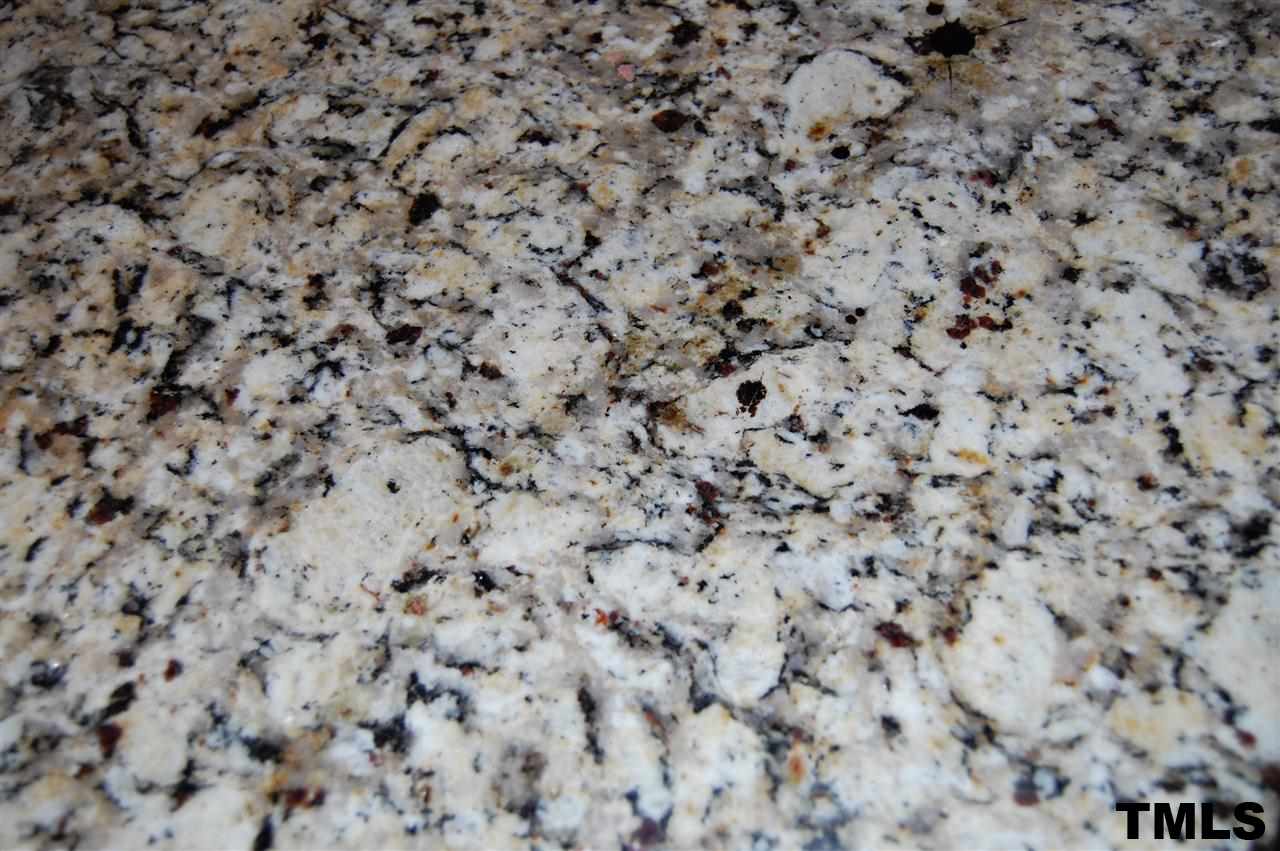 9505 Meadowmont Lane Raleigh, NC 27615 - Photo 14 of 18 a close up of a white marble wall