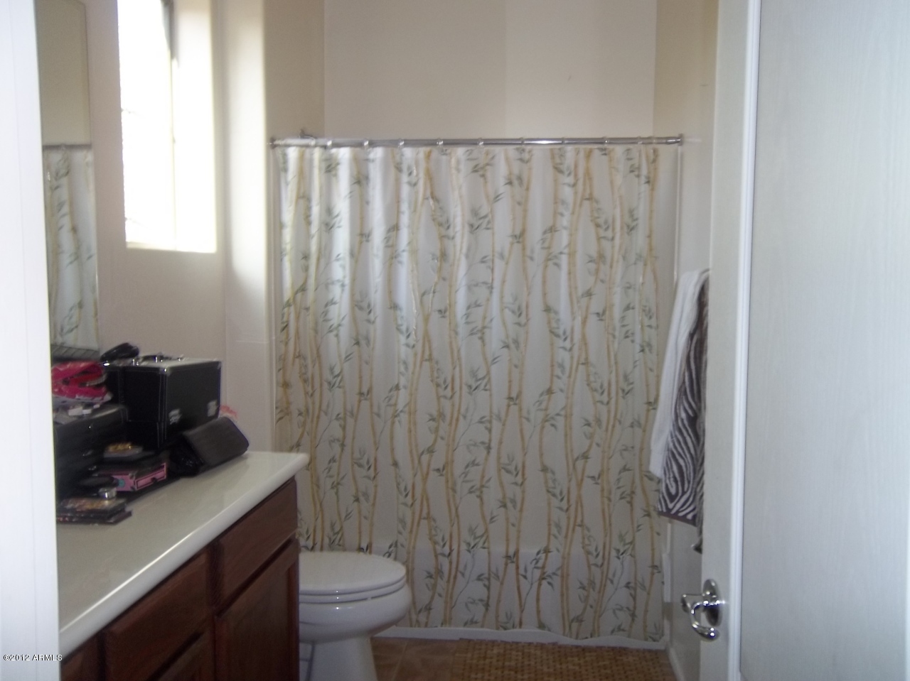 951 South Colonial Drive Gilbert, AZ 85296 - Photo 8 of 10 master bath
