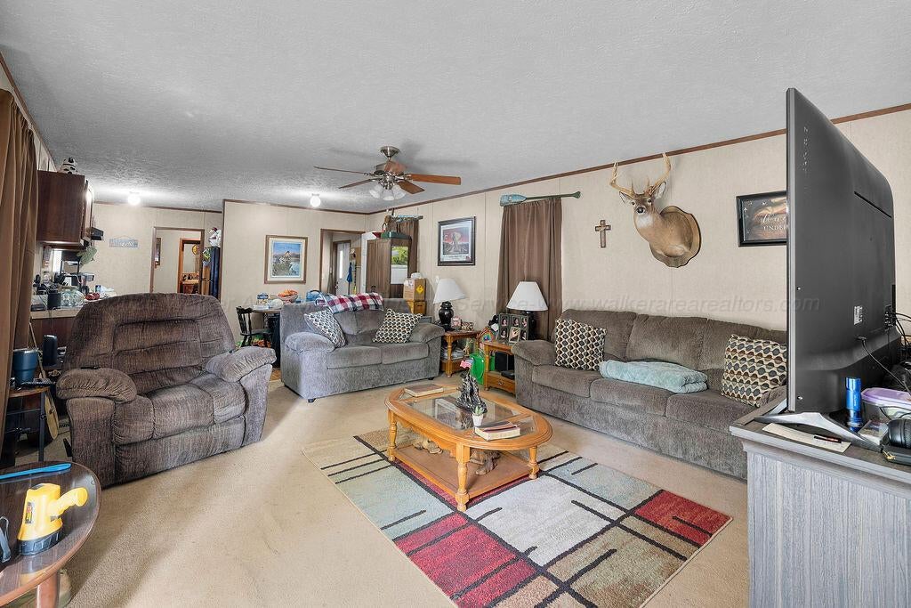 364 Ferguson Road Nauvoo, AL 35578 - Photo 4 of 29 A7R00039