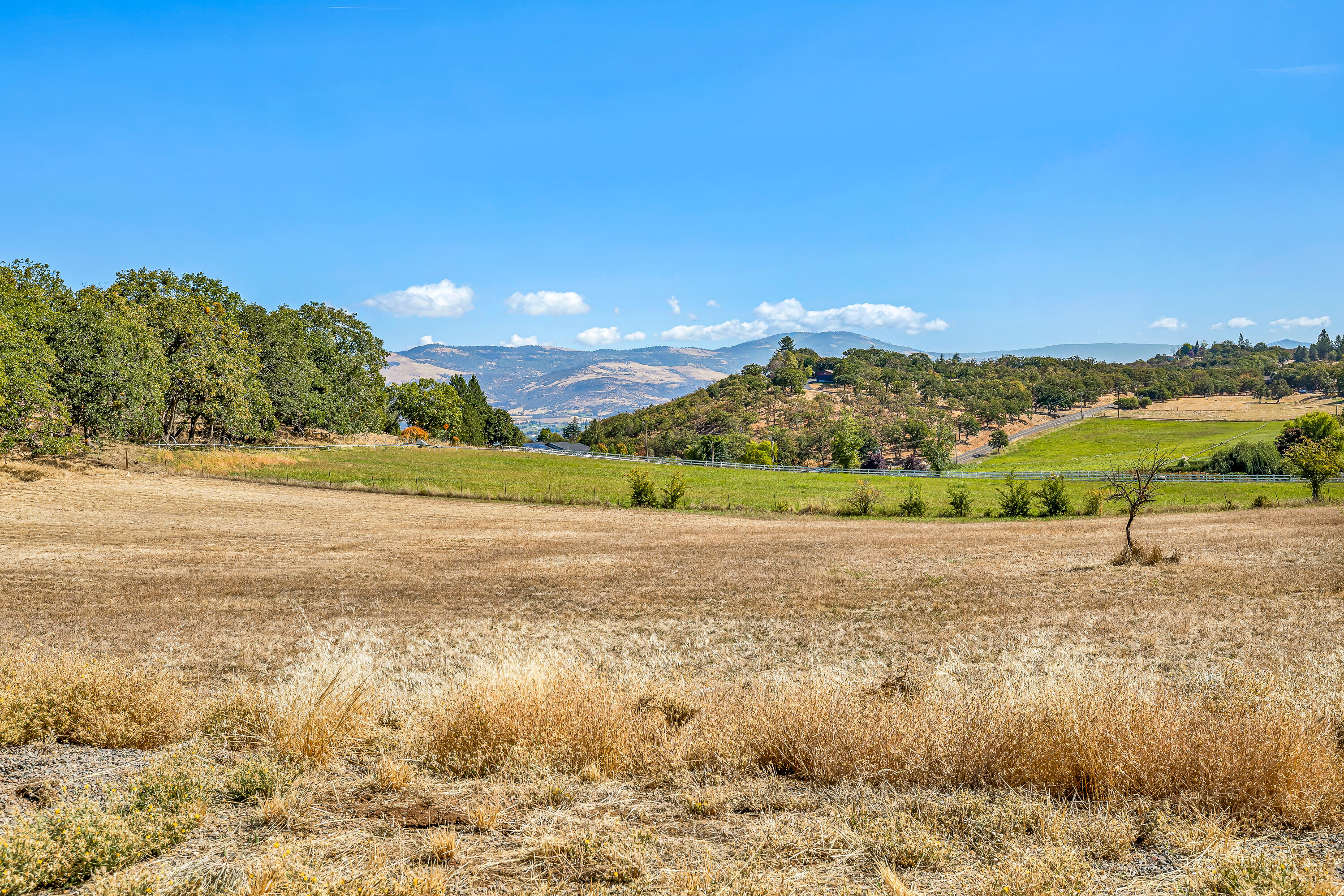4851 Pioneer Road Medford, OR 97501 - Photo 14 of 26 9R9A3363