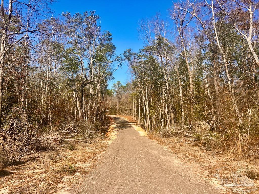 27 Mineral Springs Road Jay, FL 32565 - Photo 19 of 48 a view of covered with wooden fence