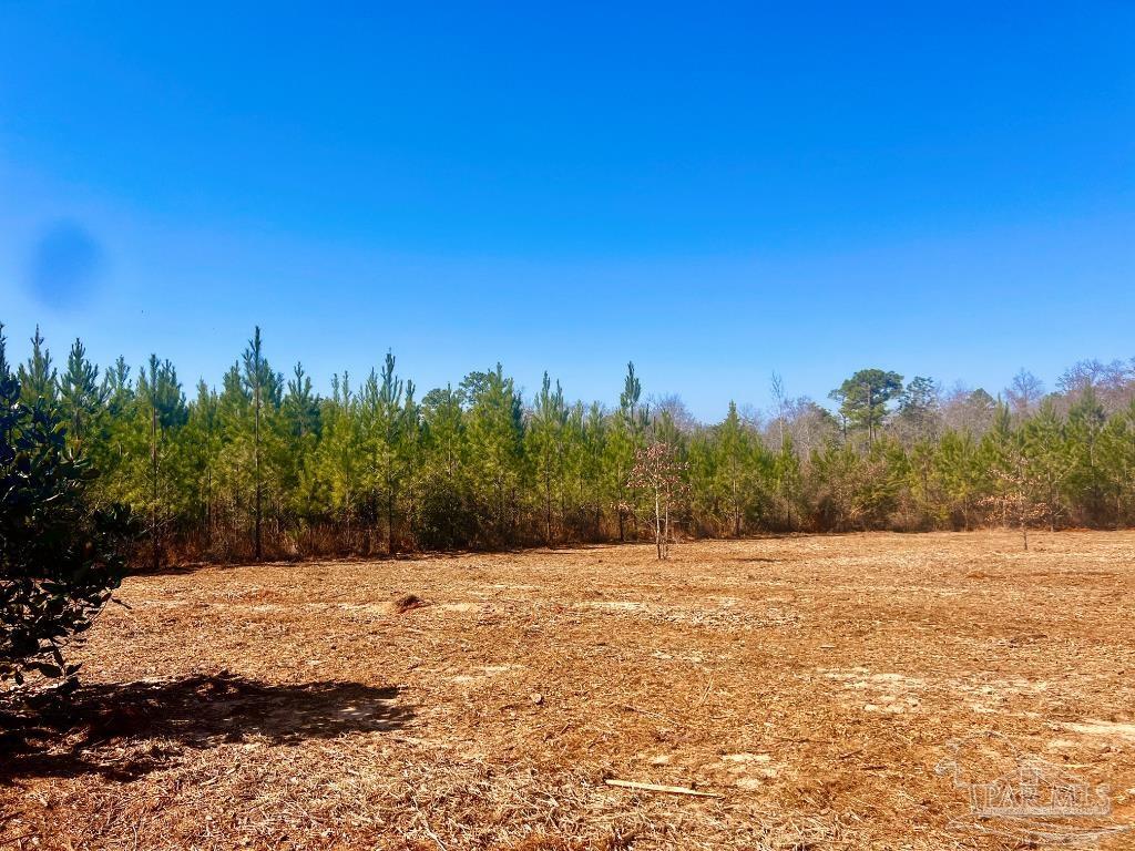 27 Mineral Springs Road Jay, FL 32565 - Photo 21 of 48 a view of empty field with trees in background