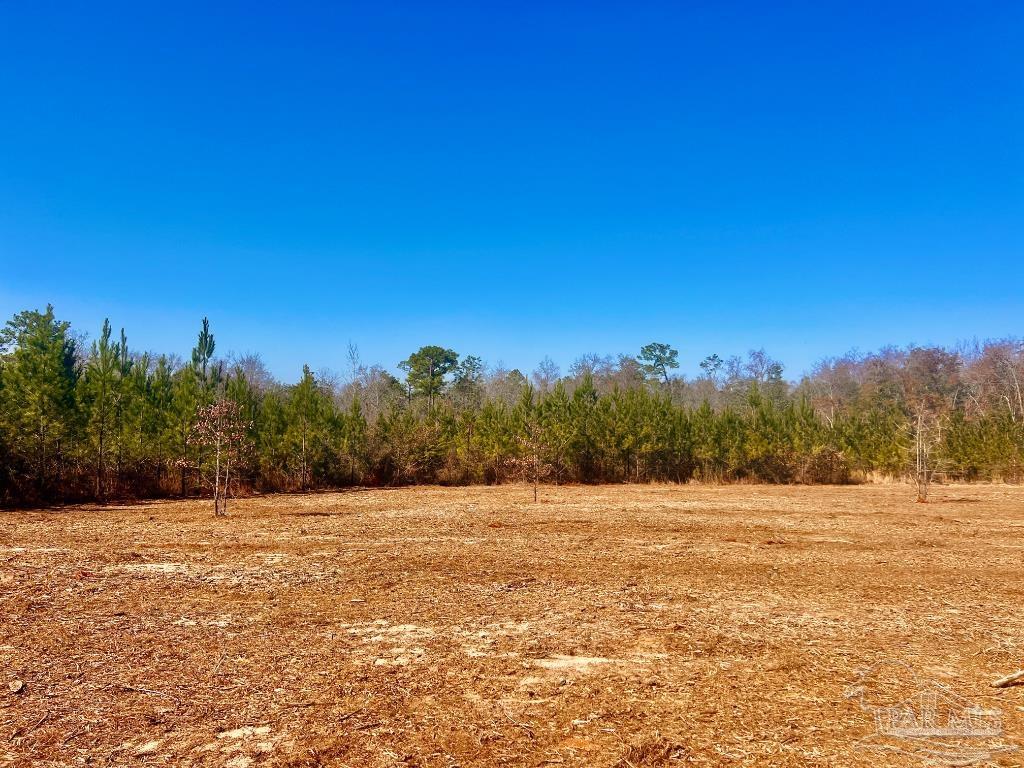 27 Mineral Springs Road Jay, FL 32565 - Photo 22 of 48 a view of basketball court