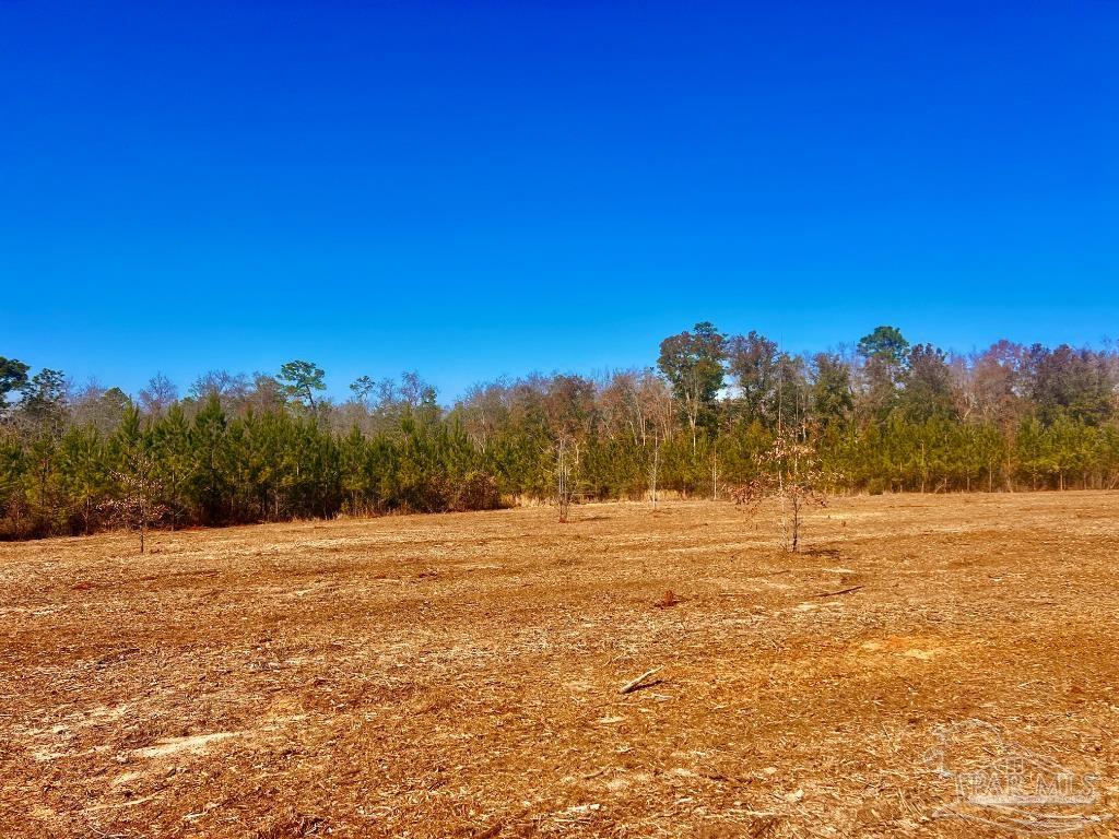 27 Mineral Springs Road Jay, FL 32565 - Photo 23 of 48 a view of an ocean