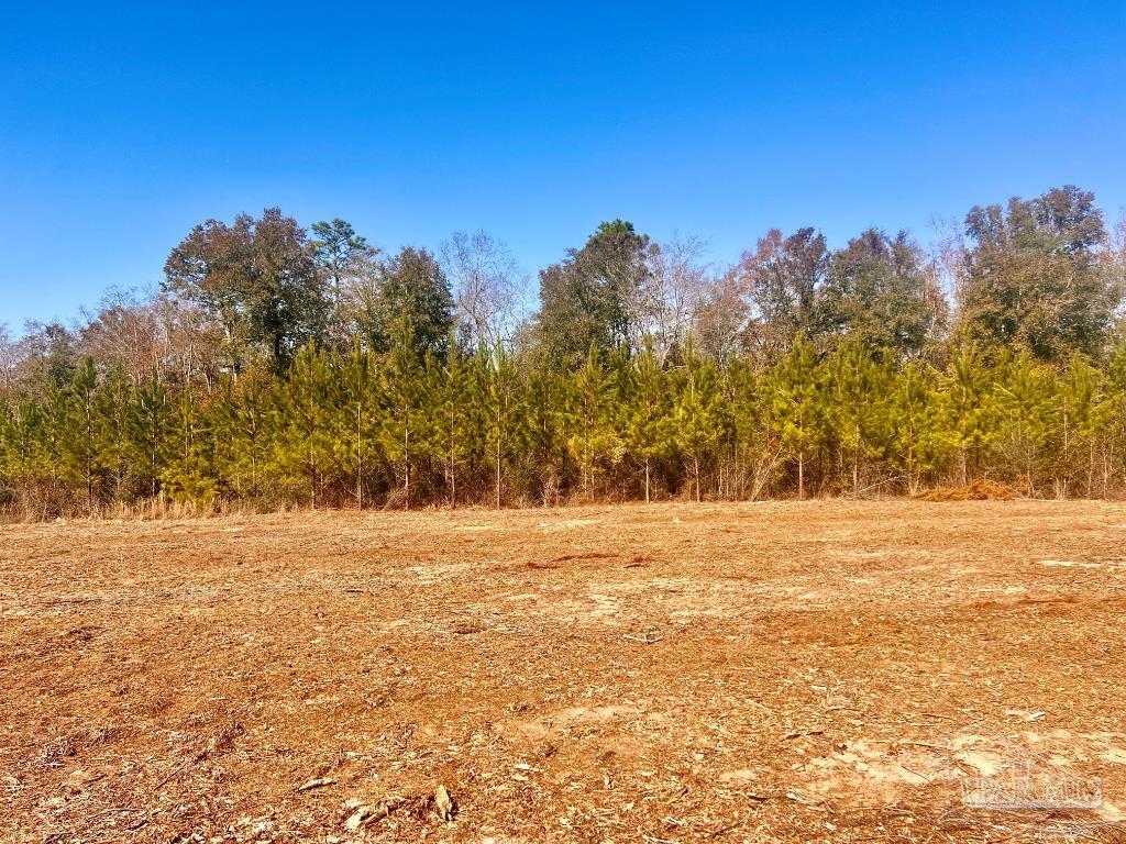 27 Mineral Springs Road Jay, FL 32565 - Photo 24 of 48 a view of big yard with large trees