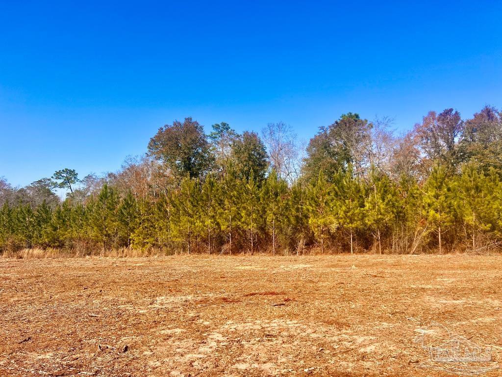 27 Mineral Springs Road Jay, FL 32565 - Photo 25 of 48 a view of yard