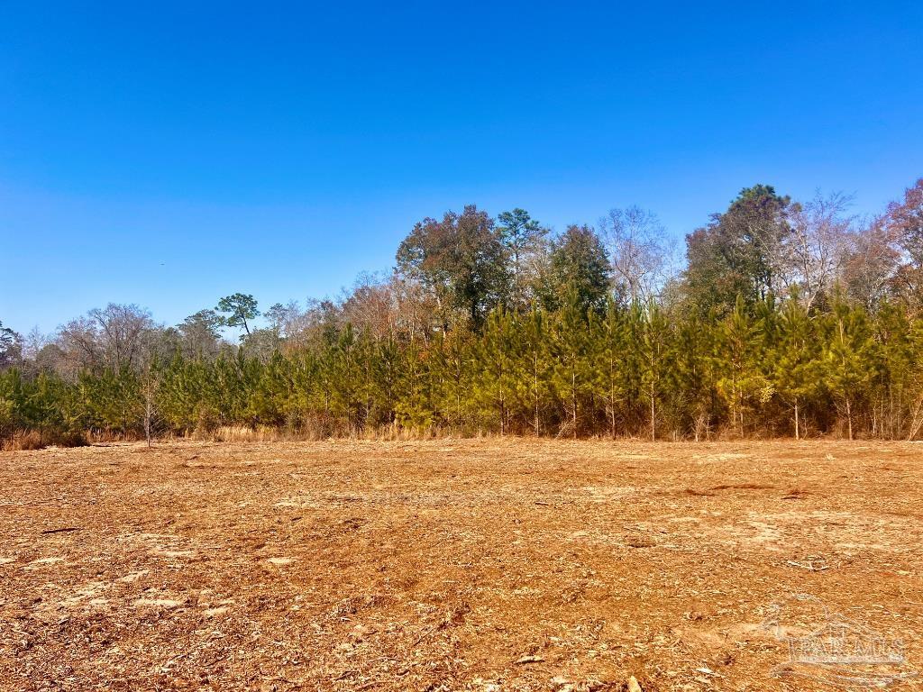 27 Mineral Springs Road Jay, FL 32565 - Photo 26 of 48 a view of outdoor space with trees