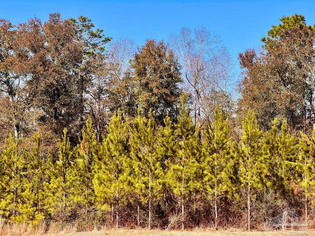27 Mineral Springs Road Jay, FL 32565 - Photo 27 of 48 a view of a yard