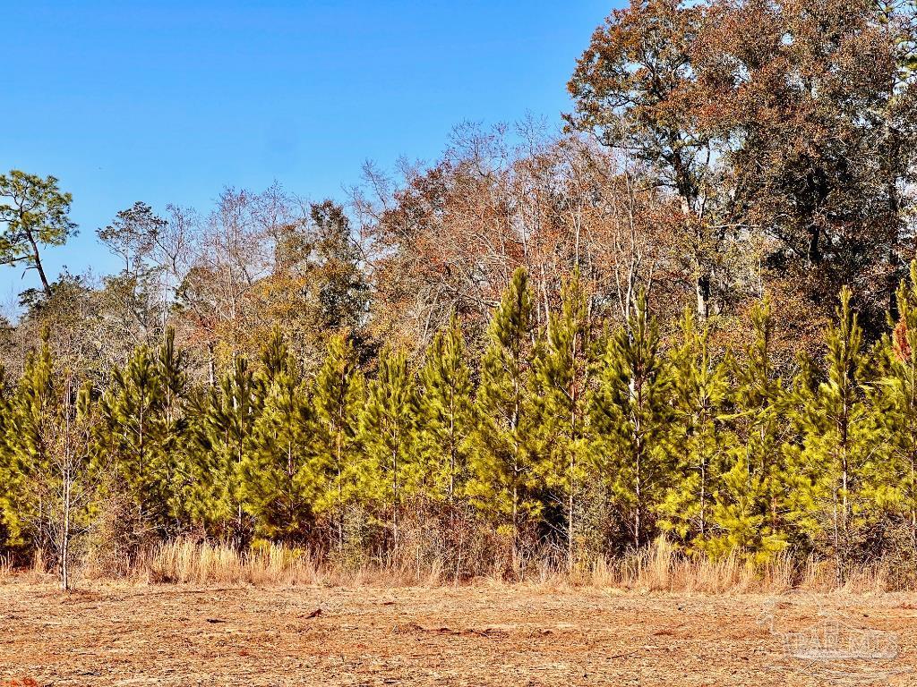 27 Mineral Springs Road Jay, FL 32565 - Photo 28 of 48 a view of a yard