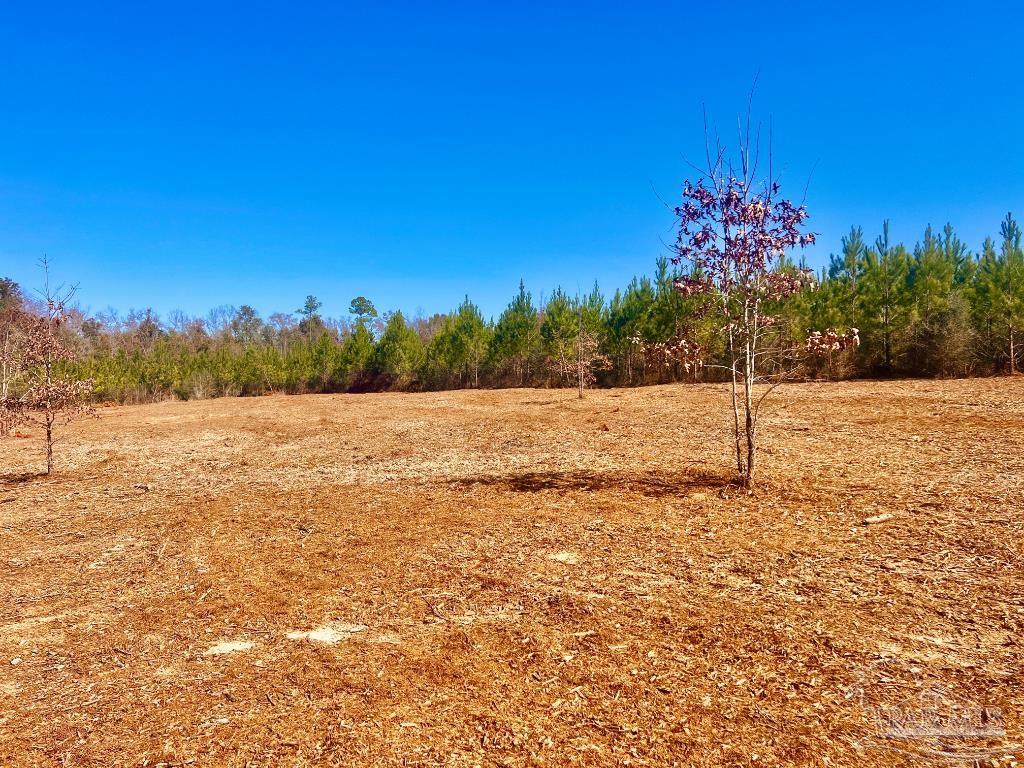 27 Mineral Springs Road Jay, FL 32565 - Photo 32 of 48 a view of a yard with a house