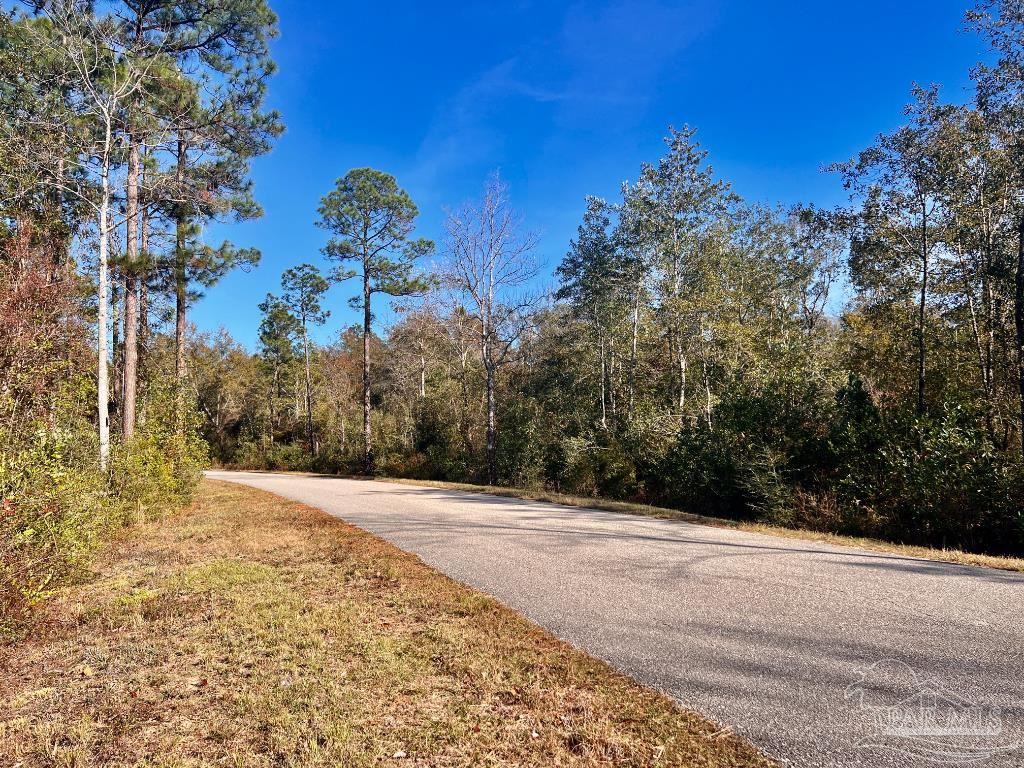 27 Mineral Springs Road Jay, FL 32565 - Photo 35 of 48 a view of a backyard of the house