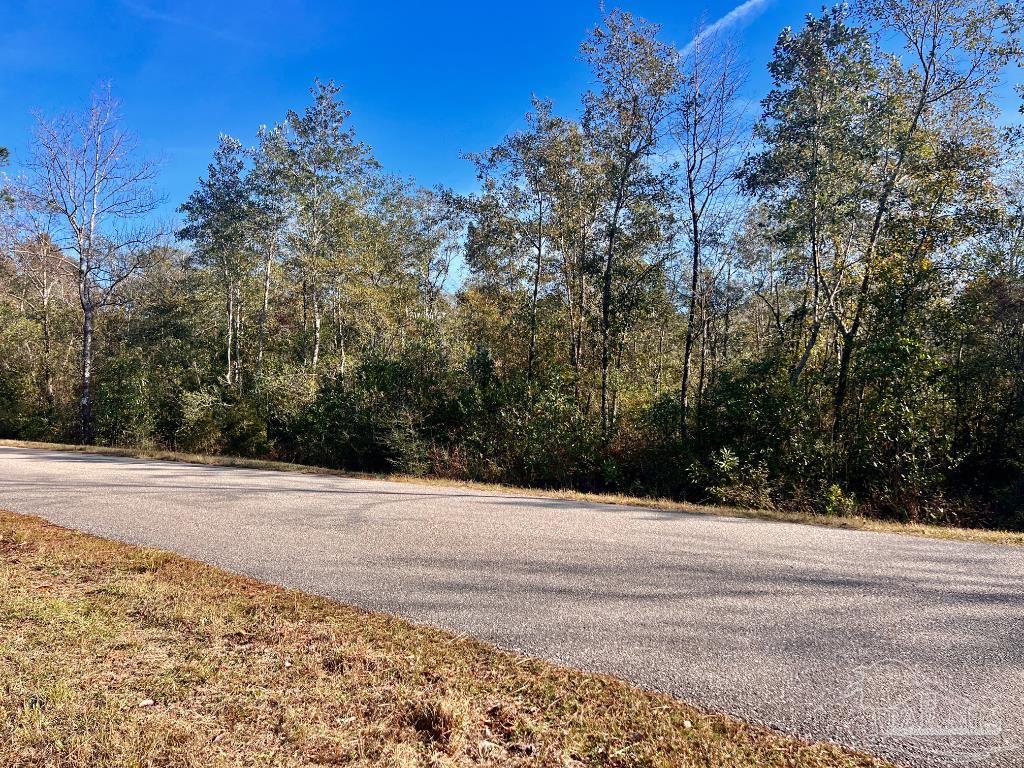 27 Mineral Springs Road Jay, FL 32565 - Photo 36 of 48 a view of a yard with large trees