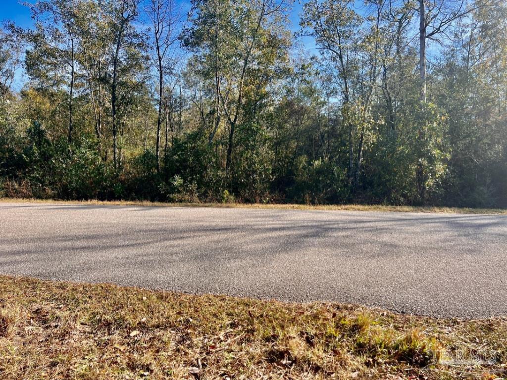 27 Mineral Springs Road Jay, FL 32565 - Photo 37 of 48 a view of a terrace view