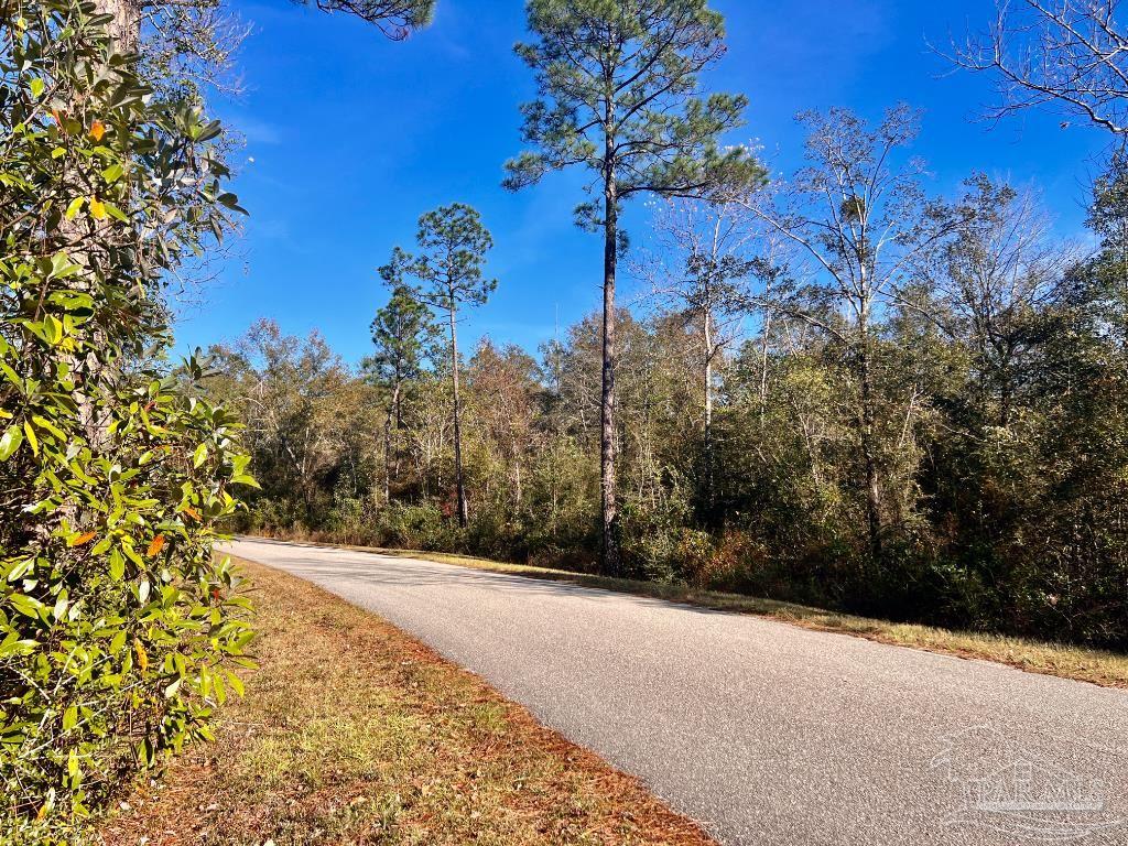 27 Mineral Springs Road Jay, FL 32565 - Photo 38 of 48 a view of a pathway with a yard
