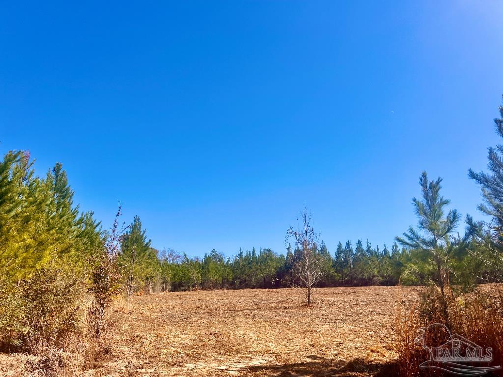 27 Mineral Springs Road Jay, FL 32565 - Photo 45 of 48 a view of lake