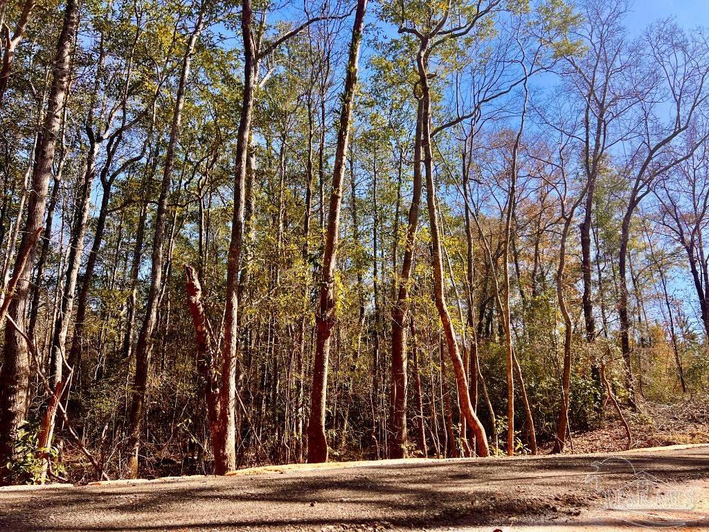 27 Mineral Springs Road Jay, FL 32565 - Photo 48 of 48 a view of a yard from a tree