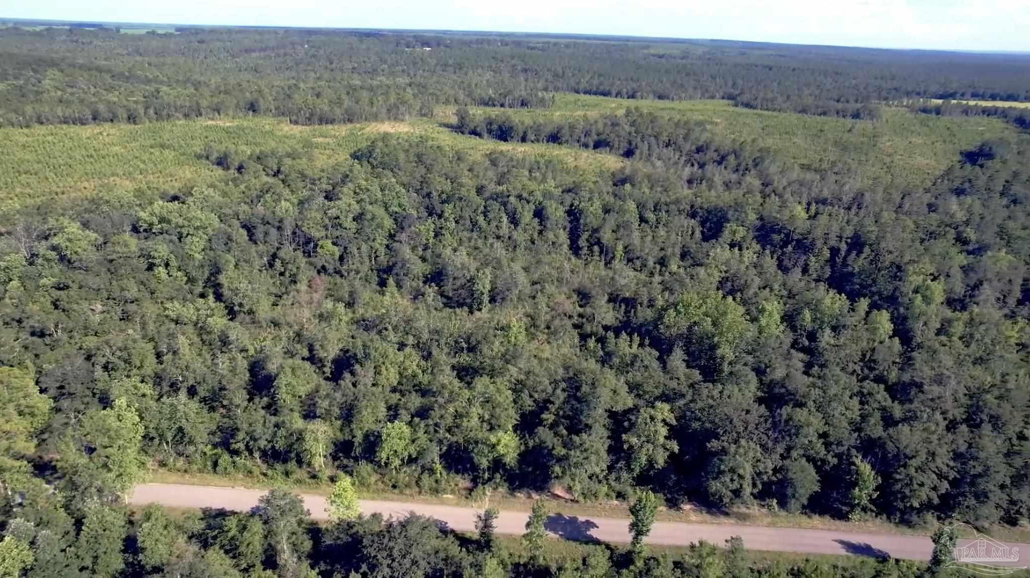 27 Mineral Springs Road Jay, FL 32565 - Photo 6 of 48 a view of a lush green field