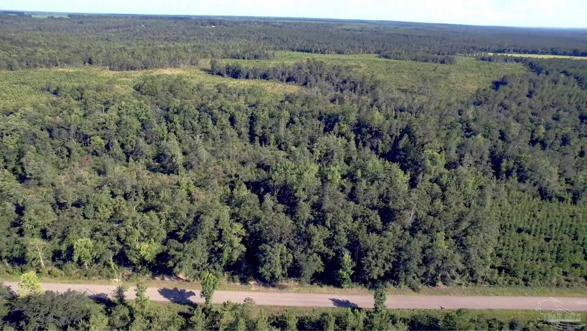 27 Mineral Springs Road Jay, FL 32565 - Photo 8 of 48 a view of a field with a tree