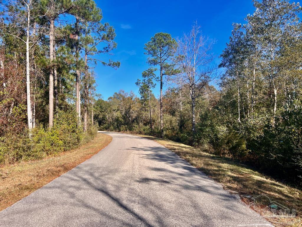 27 Mineral Springs Road Jay, FL 32565 - Photo 9 of 48 a view of a yard with plants and trees
