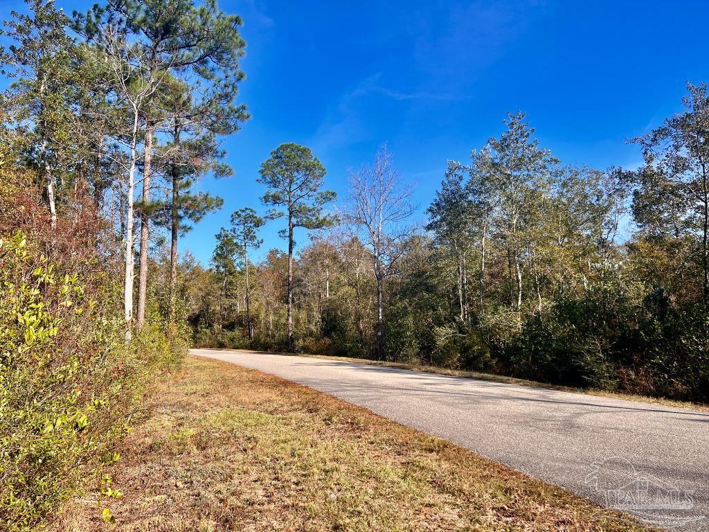 27 Mineral Springs Road Jay, FL 32565 - Photo 10 of 48 a view of a yard with a tree