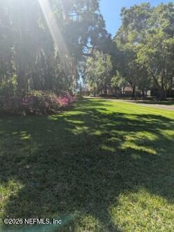 13200 Mandarin Road Jacksonville, FL 32223 - Photo 163 of 173 BACKYARD