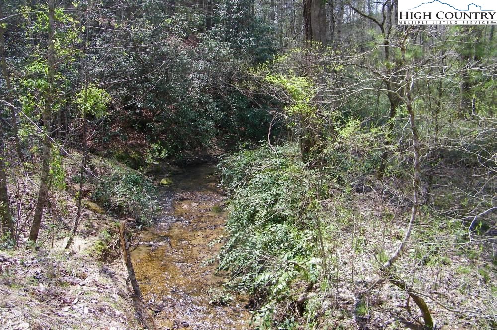 Na Henderson Mill Road Morganton, NC 28655 - Photo 6 of 8 Gallery Image 6