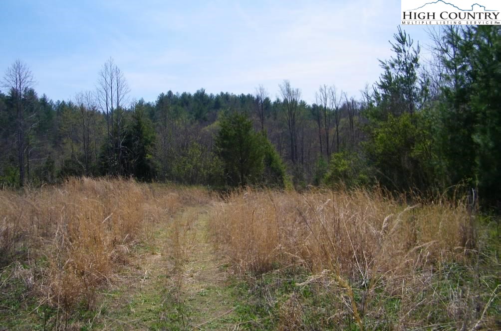 Na Henderson Mill Road Morganton, NC 28655 - Photo 7 of 8 Gallery Image 7