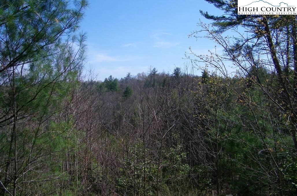 Na Henderson Mill Road Morganton, NC 28655 - Photo 8 of 8 Gallery Image 8