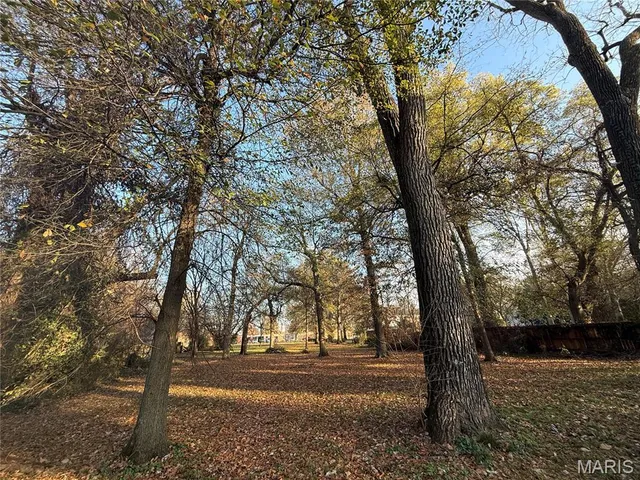 $12,500 | 501 College Avenue, Kennett, MO 63857