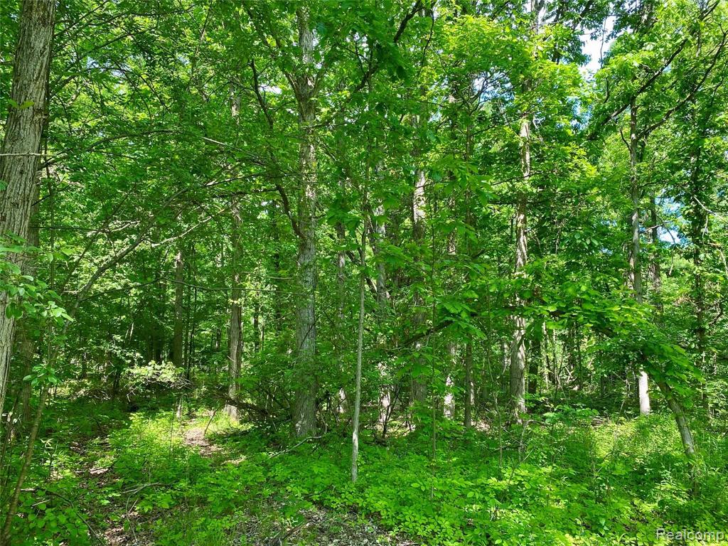 4 South Rushton Road South Lyon, MI 48178 - Photo 10 of 19