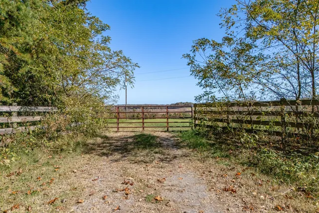 a view of a yard with wooden fence