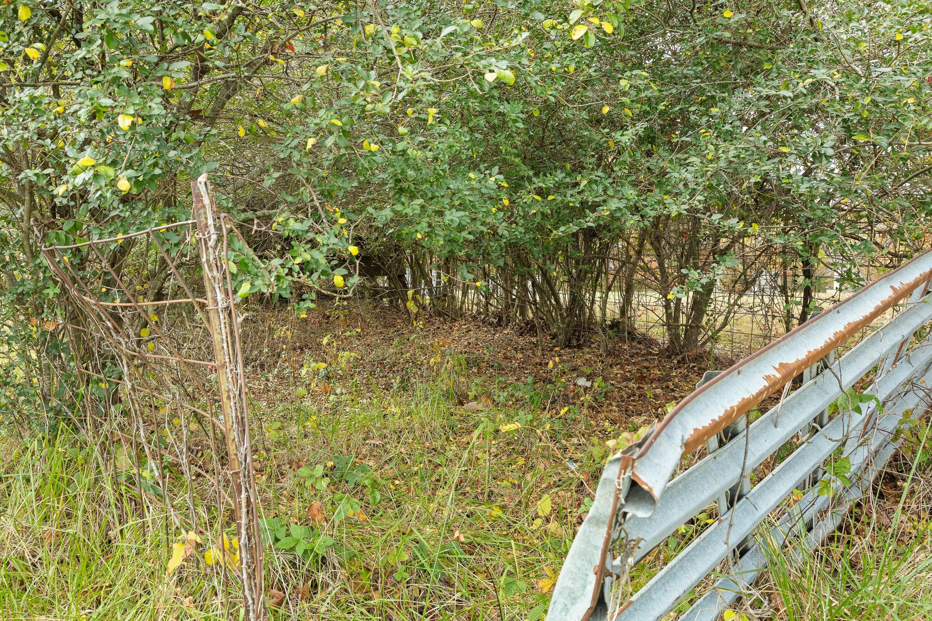 0 Wilson Church Road Bedford, VA 24523 - Photo 17 of 39