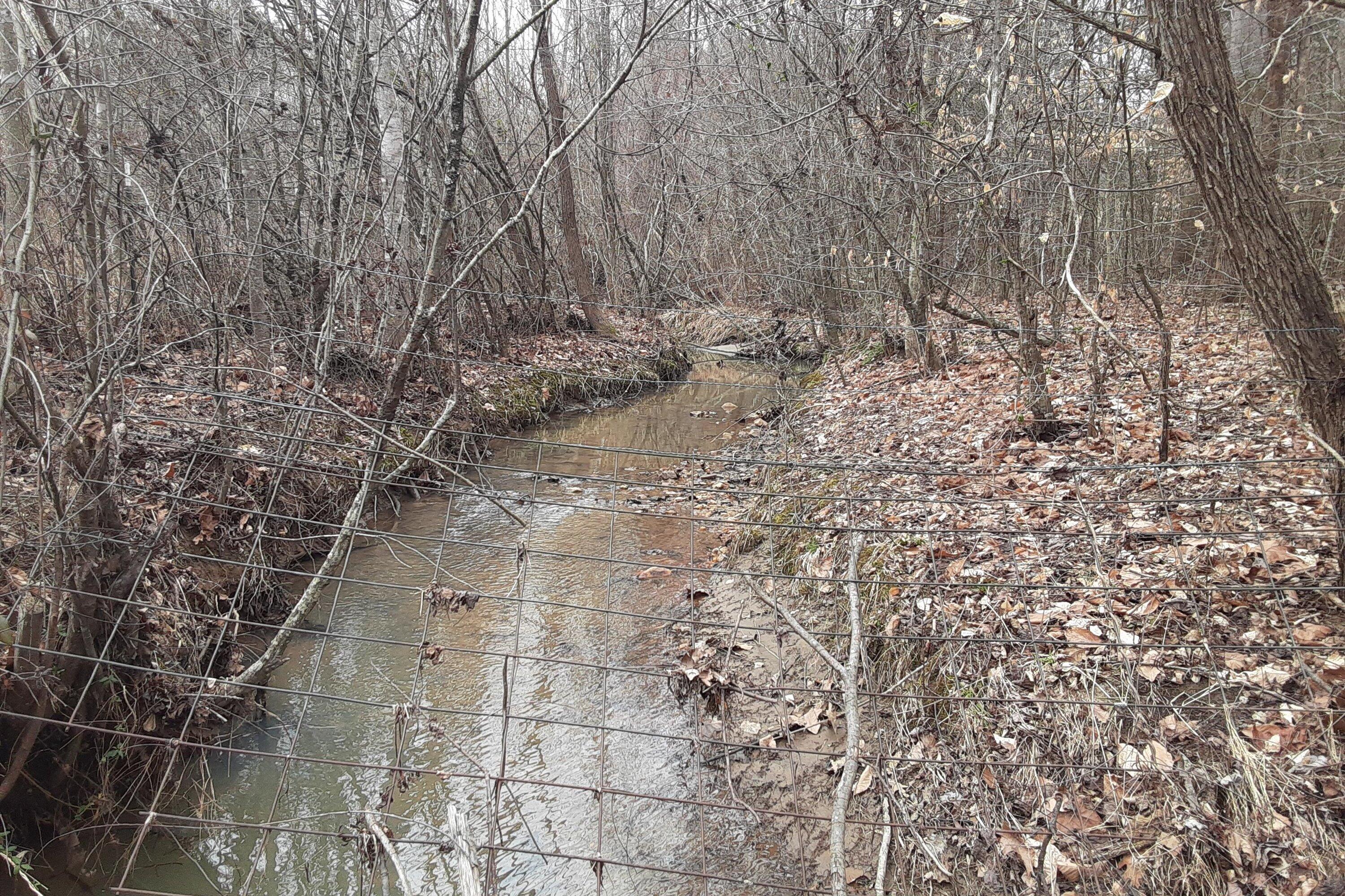 0 Wilson Church Road Bedford, VA 24523 - Photo 18 of 39