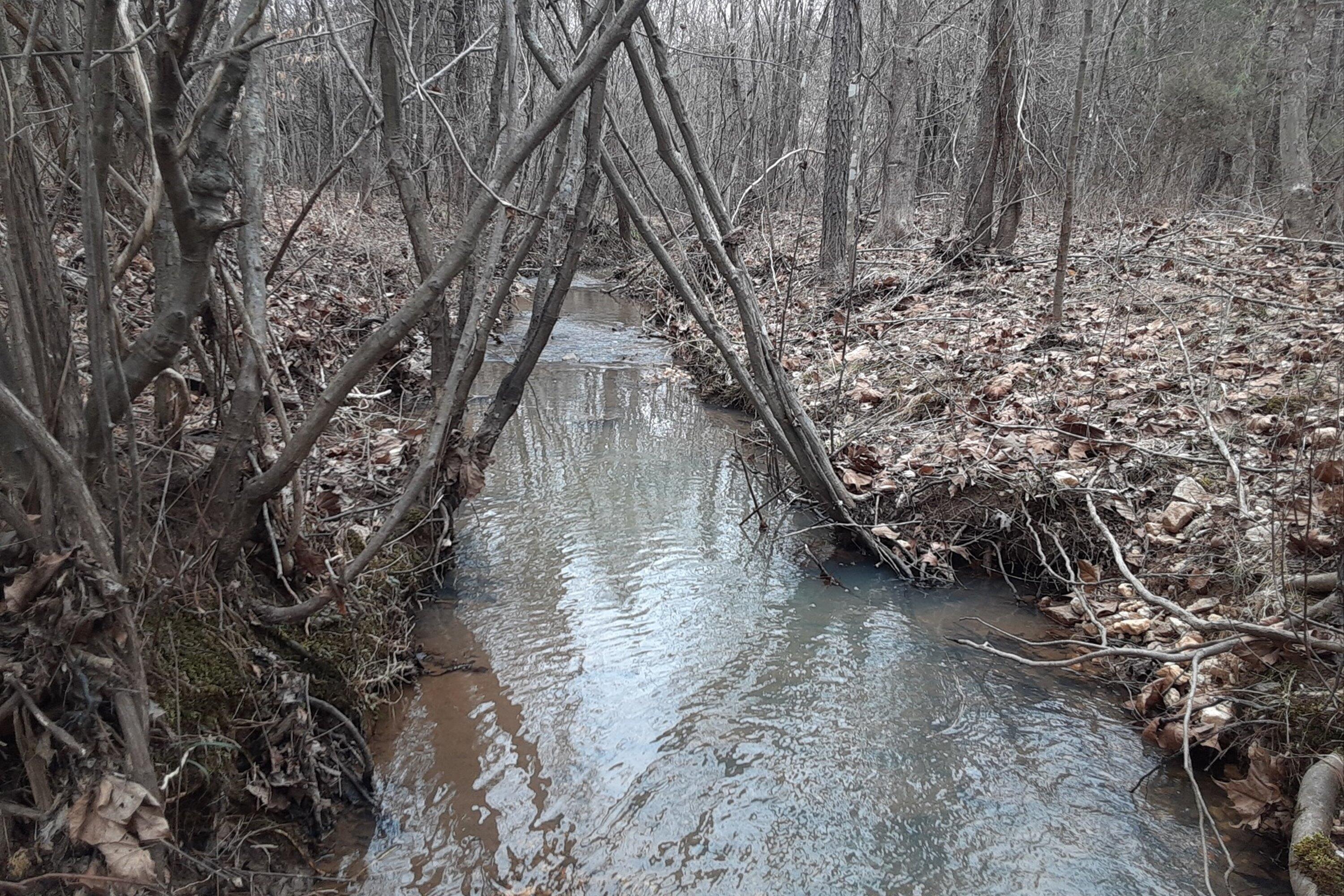 0 Wilson Church Road Bedford, VA 24523 - Photo 20 of 39 a view of a yard with large trees