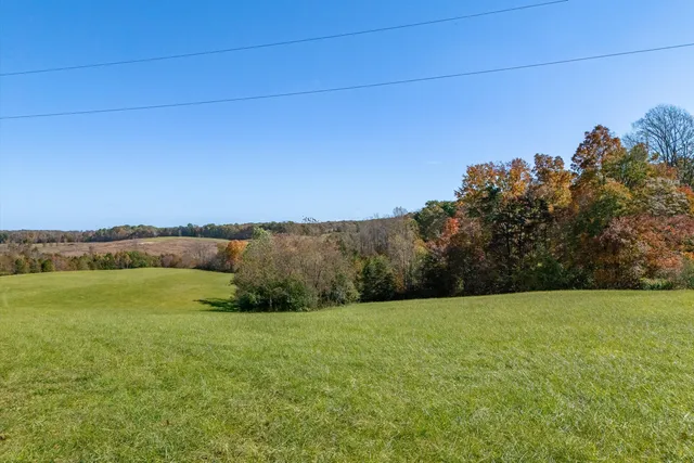 a view of a field with an ocean